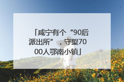 咸宁有个“90后派出所”，守望7000人鄂南小镇