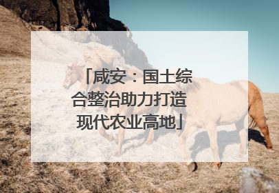 咸安：国土综合整治助力打造现代农业高地