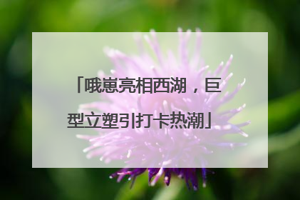 哦崽亮相西湖，巨型立塑引打卡热潮