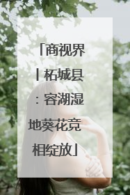 商视界丨柘城县：容湖湿地葵花竞相绽放