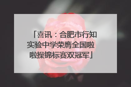喜讯：合肥市行知实验中学荣膺全国啦啦操锦标赛双冠军