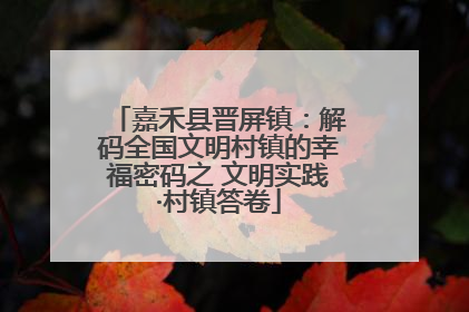 嘉禾县晋屏镇：解码全国文明村镇的幸福密码之 文明实践·村镇答卷