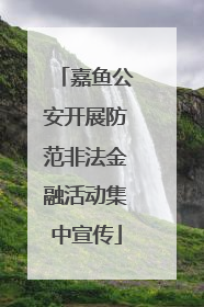 嘉鱼公安开展防范非法金融活动集中宣传