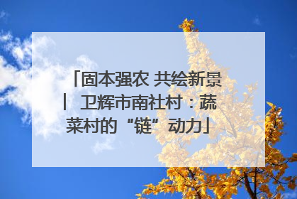固本强农 共绘新景 ︳卫辉市南社村：蔬菜村的“链”动力