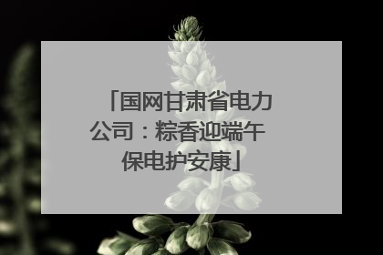 国网甘肃省电力公司：粽香迎端午 保电护安康