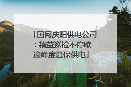国网庆阳供电公司：精益巡检不停歇 迎峰度夏保供电