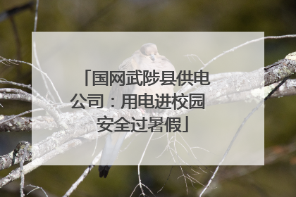 国网武陟县供电公司：用电进校园  安全过暑假