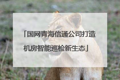 国网青海信通公司打造机房智能巡检新生态
