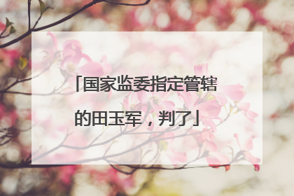国家监委指定管辖的田玉军，判了