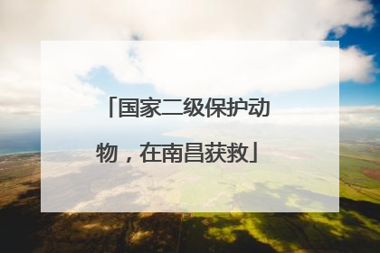国家二级保护动物，在南昌获救