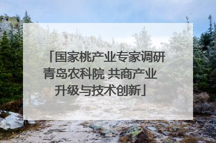 国家桃产业专家调研青岛农科院 共商产业升级与技术创新