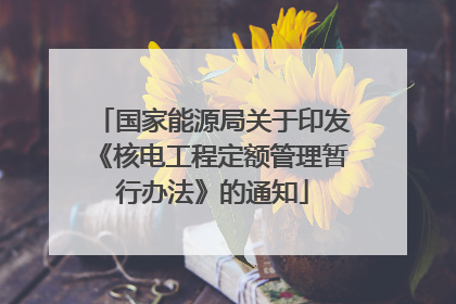 国家能源局关于印发《核电工程定额管理暂行办法》的通知