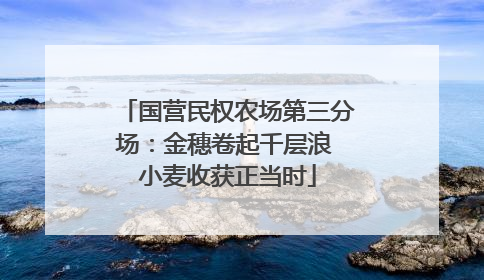 国营民权农场第三分场：金穗卷起千层浪 小麦收获正当时