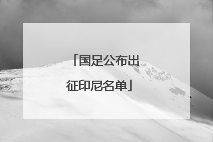 国足公布出征印尼名单