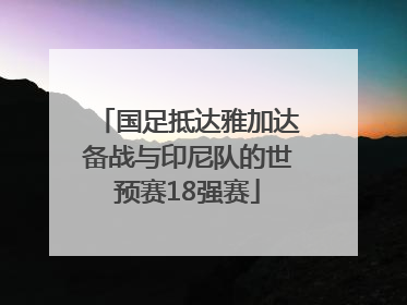 国足抵达雅加达备战与印尼队的世预赛18强赛