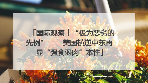国际观察丨“极为恶劣的先例”——美国横逆中东再显“强食弱肉”本性