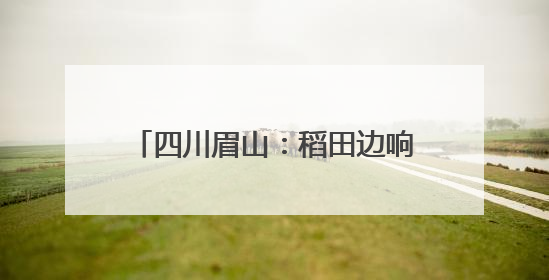 四川眉山：稻田边响起法槌声 巡回法庭现场化解耕地纠纷