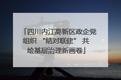 四川内江高新区政企党组织 “结对联建” 共绘基层治理新画卷