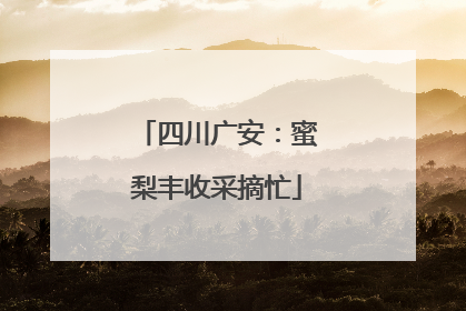 四川广安：蜜梨丰收采摘忙