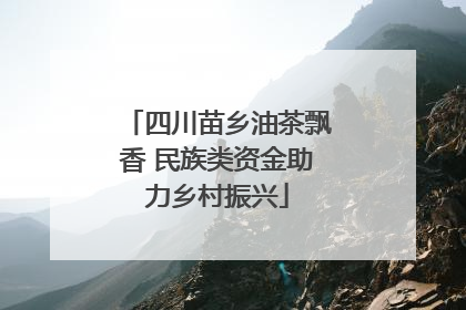 四川苗乡油茶飘香 民族类资金助力乡村振兴