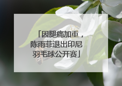 因腿痛加重，陈雨菲退出印尼羽毛球公开赛