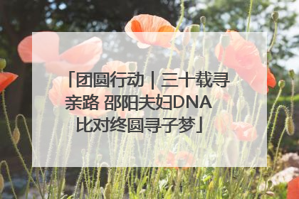 团圆行动｜三十载寻亲路 邵阳夫妇DNA比对终圆寻子梦