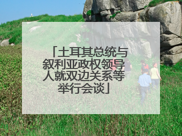 土耳其总统与叙利亚政权领导人就双边关系等举行会谈
