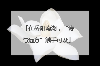 在岳阳南湖，“诗与远方”触手可及
