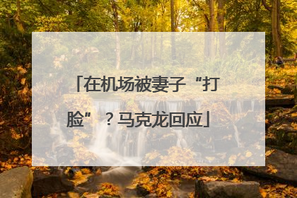 在机场被妻子“打脸”？马克龙回应