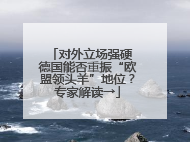 对外立场强硬 德国能否重振“欧盟领头羊”地位？专家解读→