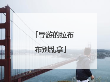 导游的拉布布别乱拿