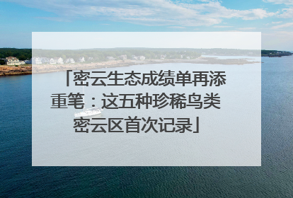 密云生态成绩单再添重笔：这五种珍稀鸟类密云区首次记录