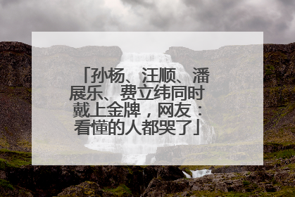 孙杨、汪顺、潘展乐、费立纬同时戴上金牌，网友：看懂的人都哭了