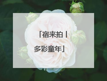宿来拍丨多彩童年