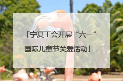 宁夏工会开展“六一”国际儿童节关爱活动