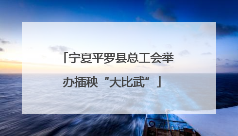 宁夏平罗县总工会举办插秧“大比武”