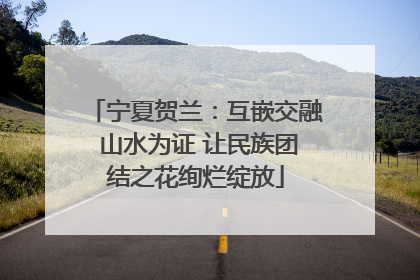 宁夏贺兰：互嵌交融 山水为证 让民族团结之花绚烂绽放