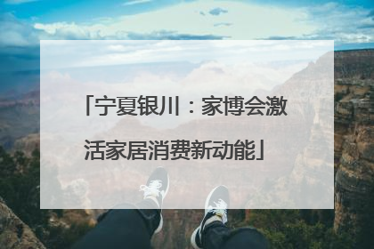 宁夏银川：家博会激活家居消费新动能
