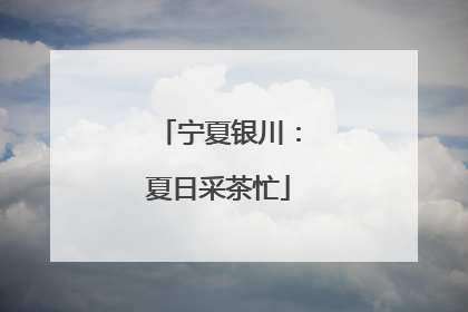 宁夏银川：夏日采茶忙