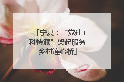 宁夏：“党建+科特派”架起服务乡村连心桥