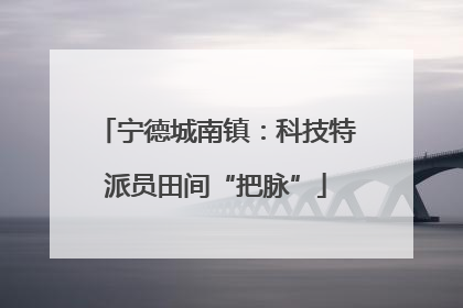 宁德城南镇：科技特派员田间“把脉”