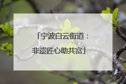 宁波白云街道：非遗匠心助共富