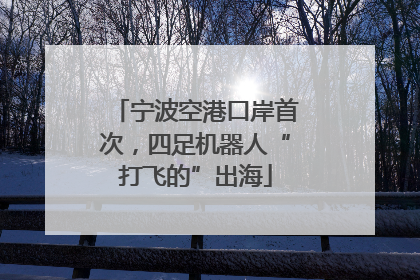 宁波空港口岸首次，四足机器人“打飞的”出海