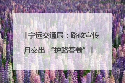 宁远交通局：路政宣传月交出 “护路答卷”