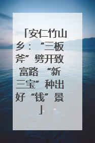 安仁竹山乡：“三板斧”劈开致富路 “新三宝”种出好“钱”景