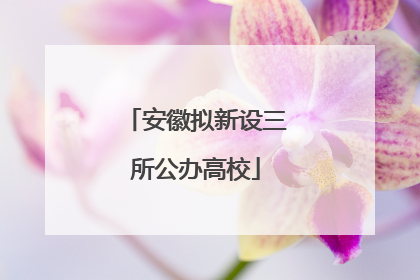 安徽拟新设三所公办高校