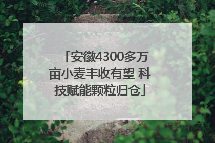 安徽4300多万亩小麦丰收有望 科技赋能颗粒归仓