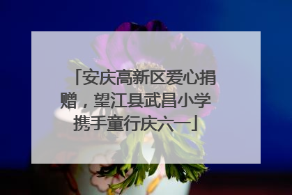 安庆高新区爱心捐赠，望江县武昌小学携手童行庆六一