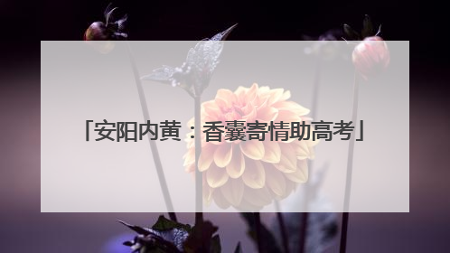 安阳内黄：香囊寄情助高考