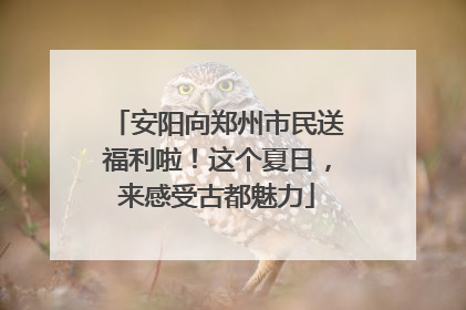 安阳向郑州市民送福利啦！这个夏日，来感受古都魅力